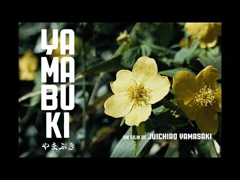 Yamabuki (2022) - Bande annonce HD VOST