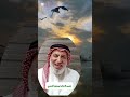 اسرار عميقة جدا في رؤية البحر الهادئ 