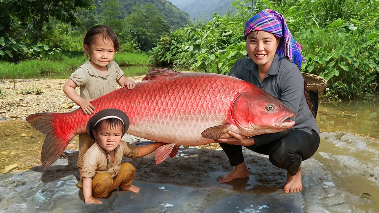 BOILED CHICKEN & FRIED FISH Breakfast before Catching GIANT FISH at Pond. FISHING TIPS of Ms Duong