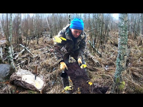 Я ОБАЛДЕЛ ОТ НАХОДОК В БОЛОТЕ, ЛЕЗУТ И ЛЕЗУТ!!!