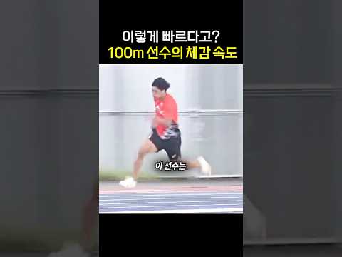 100m 10초대 선수의 체감 속도 thumbnail