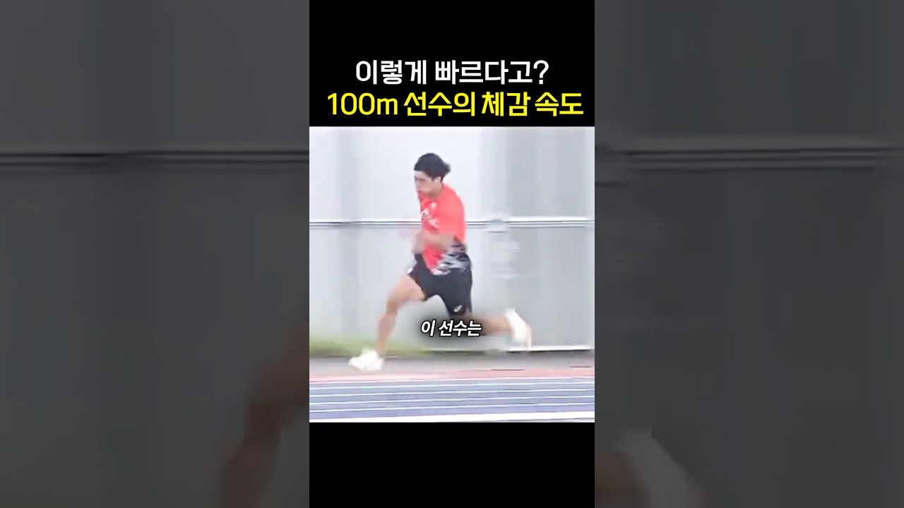 100m 10초대 선수의 체감 속도