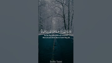 تلاوة هادئة من سورة المجادلة بصوت ابراهيم التميمي