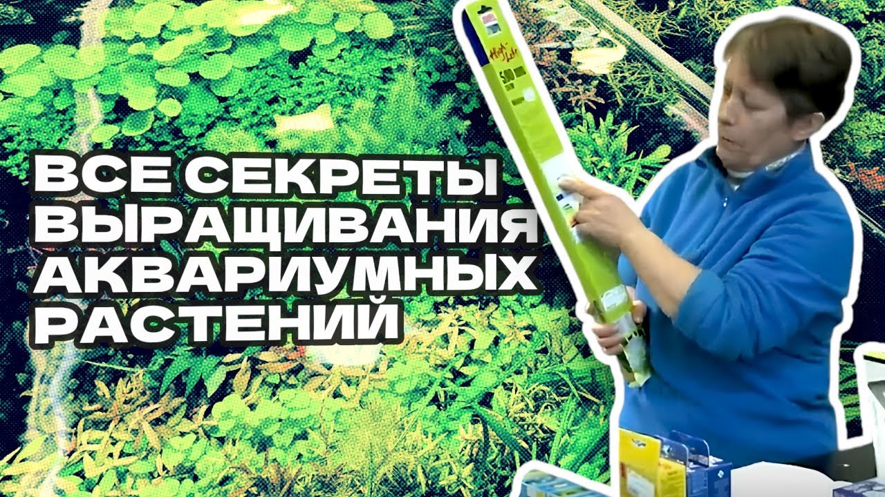 Все секреты выращивания аквариумных растений. [Улучшенный звук!]