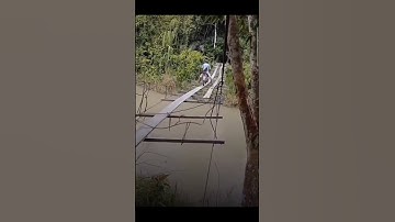 motor lewat jembatan rusak, mirisnya indonesiaku