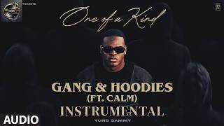 GANG & HOODIES INSTRUMENTAL ( BEAT ONLY ) YUNG SAMMY | CALM | SEEDHE MAUT