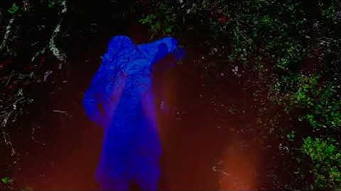 astral.Manzanita (Official Film Trailer)