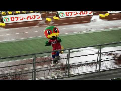 【２０２２シーズン　ファジ】岡山市のＣスタで会える、可愛すぎる雉さん。～可愛すぎるファジ丸さん～（２２．９．１７　H　対長崎戦）