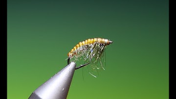 Fly Tying a Snow shoe Caddis Larva with Barry Ord Clarke