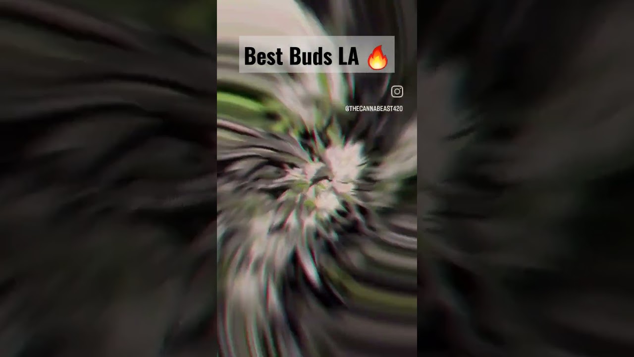 Super Dank Cannabis by Best Buds LA 