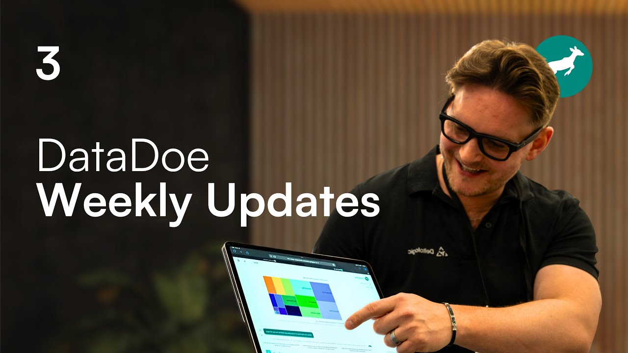 30 Alpha Users, Real Amazon Data, Real Bugs - New DataDoe Features #3