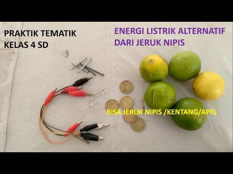 Cara Membuat Energi Listrik Dari Jeruk Nipis atau kentang (Tematik kelas 4)