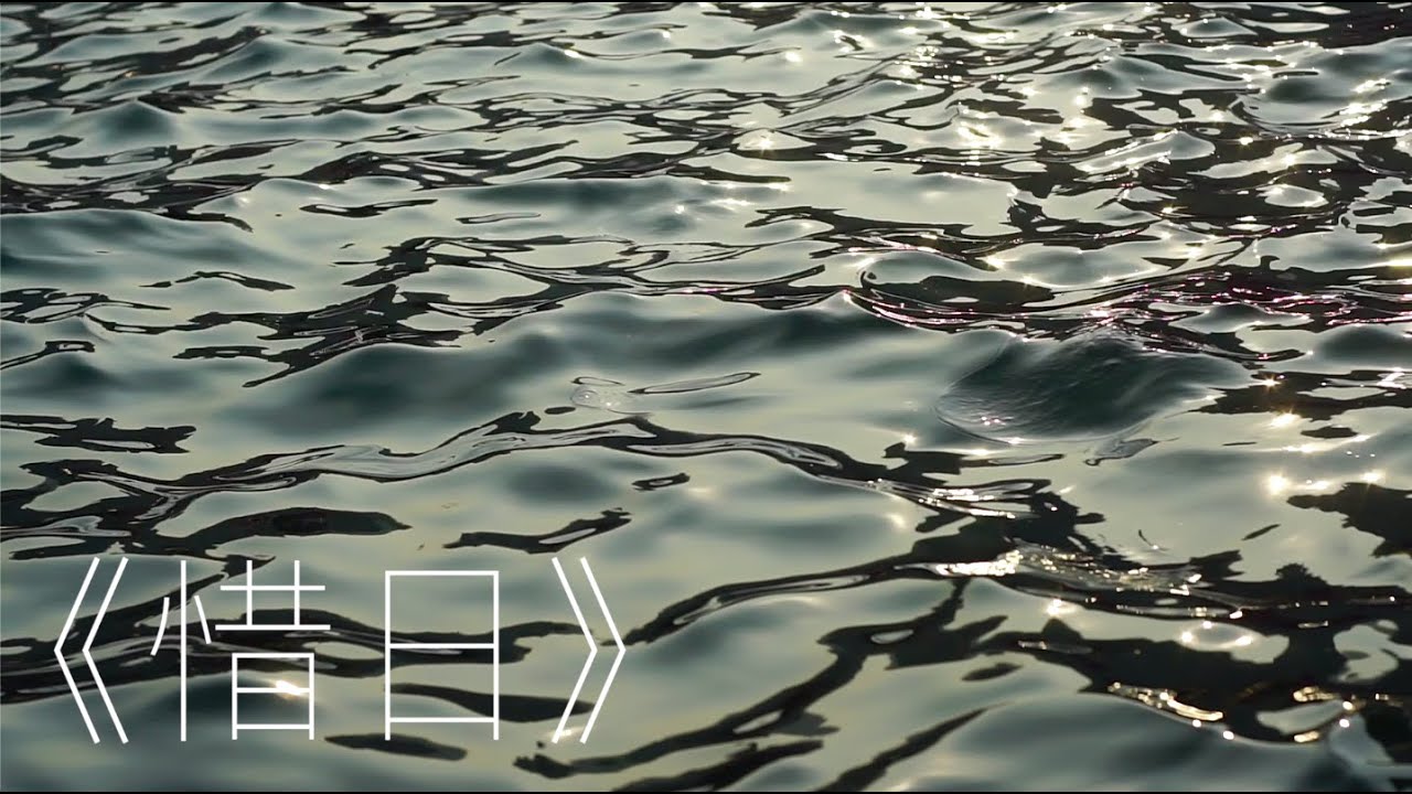 惜日 - SJC 144th Anniversary Green & White Day Theme Song