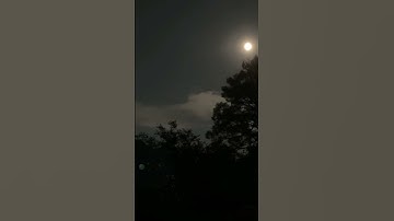 تلاوة خاشعة تأخد بك الى عالم من الطمئنينة #قرآن #اكسبلور #المصحف