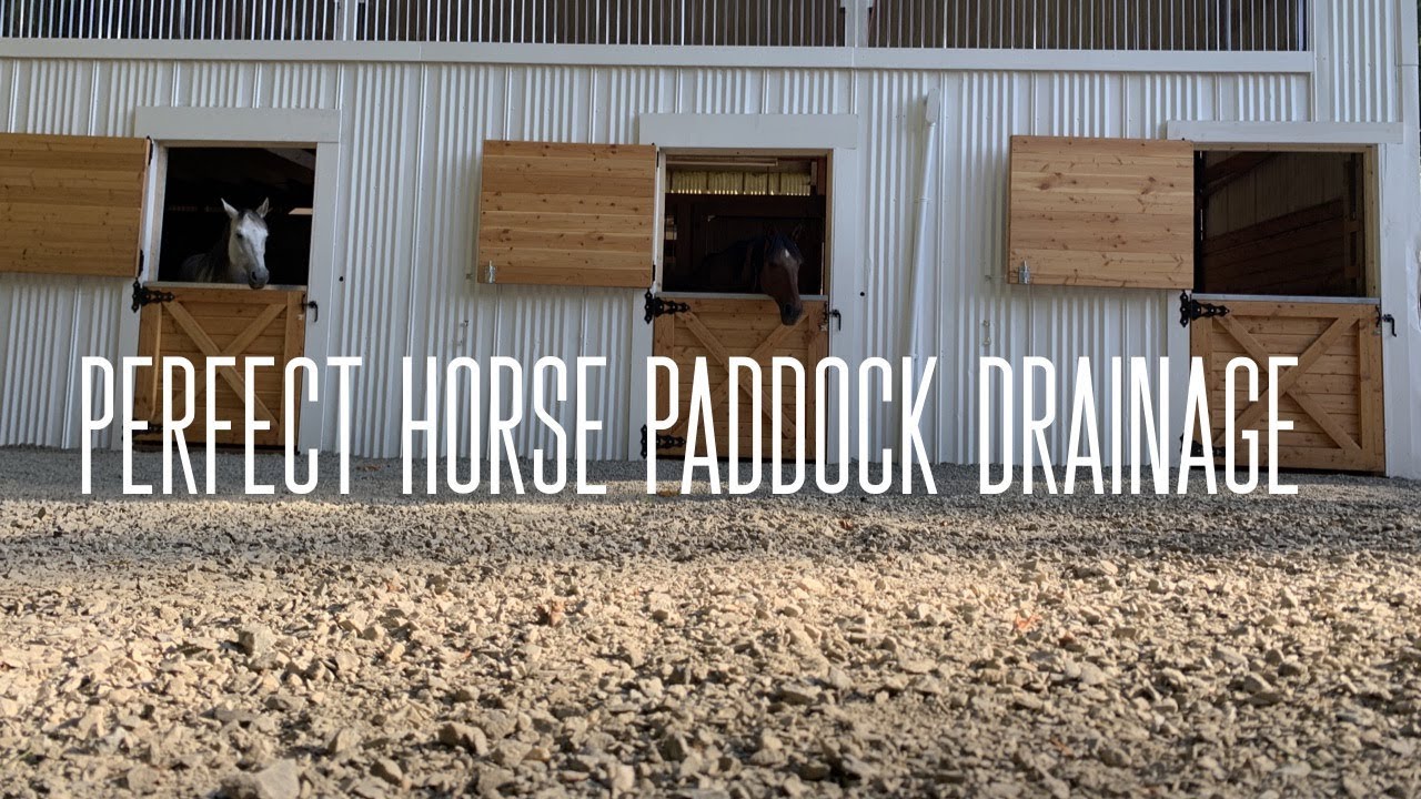How to Have Perfect Horse Paddock Drainage YouTube
