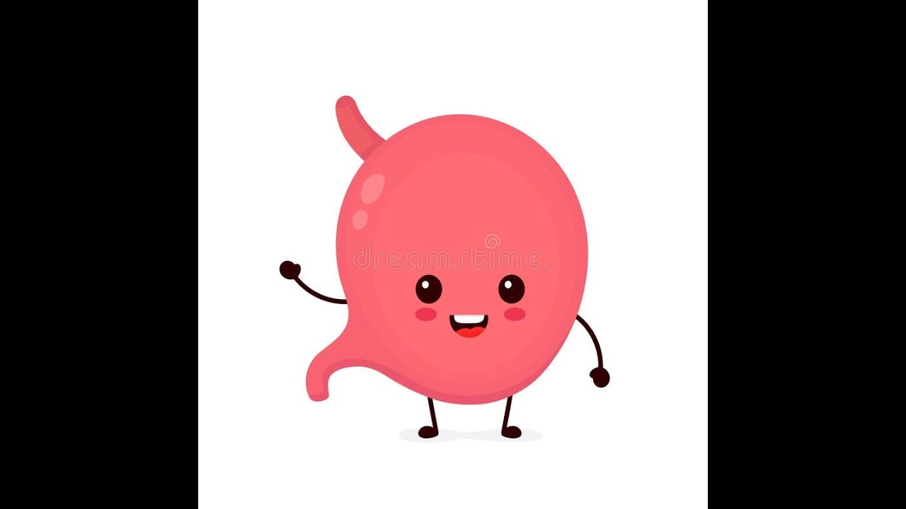 Gurgling Stomach 4 YouTube Gurgling Stomach 4 YouTube