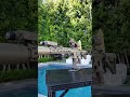 How beautiful is the KS1… 1-10?? #airsoft #notreal