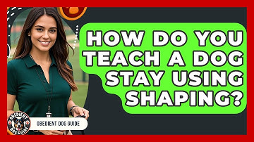 How Do You Teach A Dog Stay Using Shaping? - Obedient Dog Guide