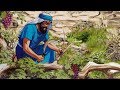 088 - Vine and Branches  (Farsi)