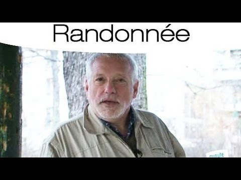 Vidéo : Randonnée et anxiété : les effets de la marche en nature sur le mental