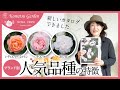 【バラの品種紹介】人気品種の特徴 カタログが出来ました!