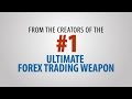 THE BEST FOREX ROBOT