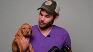 How To Photograph A Puppy In The Studio