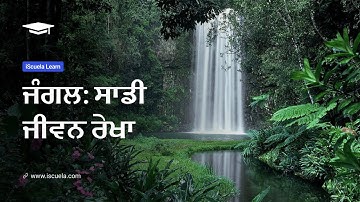 PB | Class7 | Science | Chapter 17 | Jangal Sadi Jeevan Rekha_01 (PSEB)