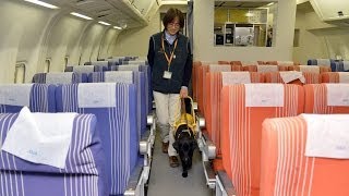 補助犬の飛行機への搭乗訓練、全国で初めて実施