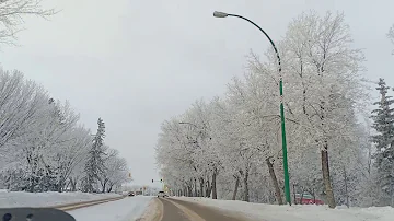 Saskatoon Downtown in Winter | ស្នាមថើបចុងក្រោយ (ហេង វិទូ)