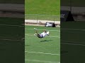 Will Brandt FLIES for the goal!