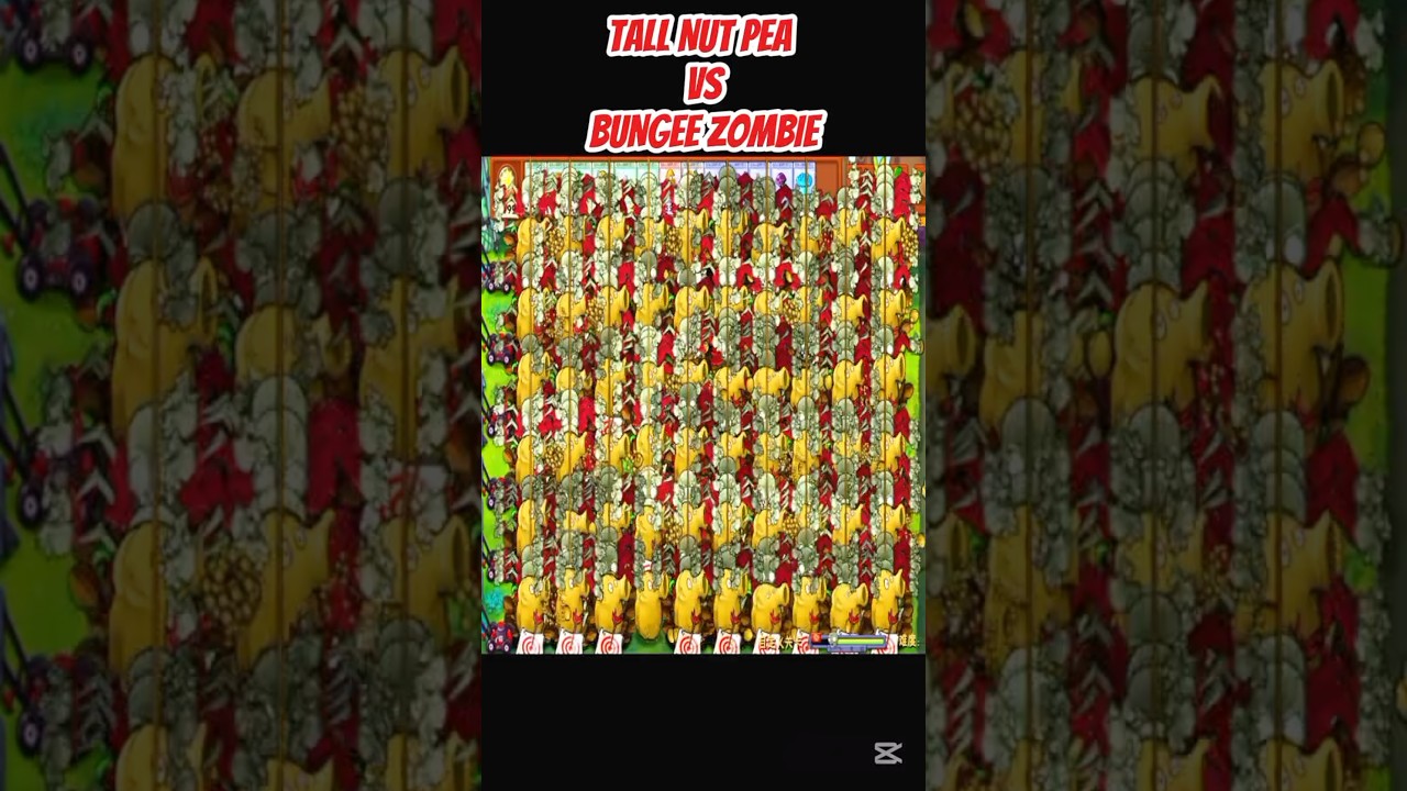 *TALL NUT PEA VS BUNGEE ZOMBIE*