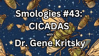 Smologies #43: CICADAS with Dr. Gene Kritsky Audiogram Information