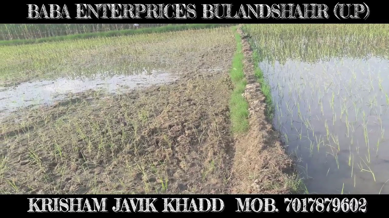 Galway Gavikk Khadd G-Sea power ka Result in Dhann