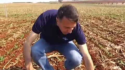 Como é realizado o manejo de dessecação?