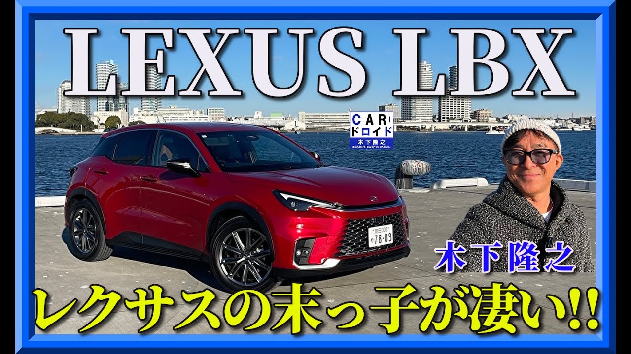 LBX 4体 Genuine Lexus Japan 2024-2025 LBX Rear Luggage Flex Belts