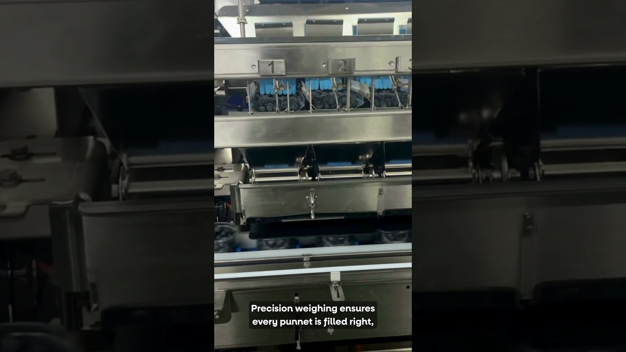 Blueberry buckets- integrated packing line | Milbor PMC