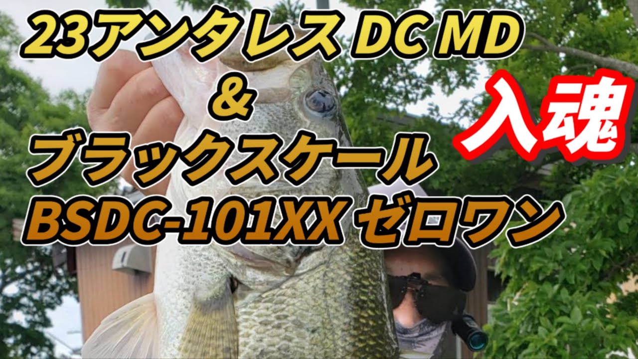バス釣り】ニュータックル 23アンタレス DC MDとブラックスケール BSDC