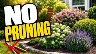 Too Lazy to Prune? 9 Shrubs That Look Expensive & Never Need Trimming