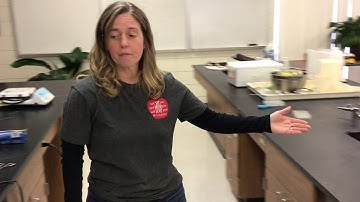 Lab on properties of ionic and covalent compounds