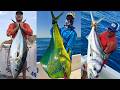 Hamachi Travel Rods for the Extreme Angler