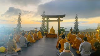 NIKAYA Thiền Quán - Từ Vô Lượng Tâm 10-8-2023