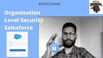 Organization Level Security || Secure your salesforce org || #Salesforce #WhoCanSeeWhat #SfdcPanther