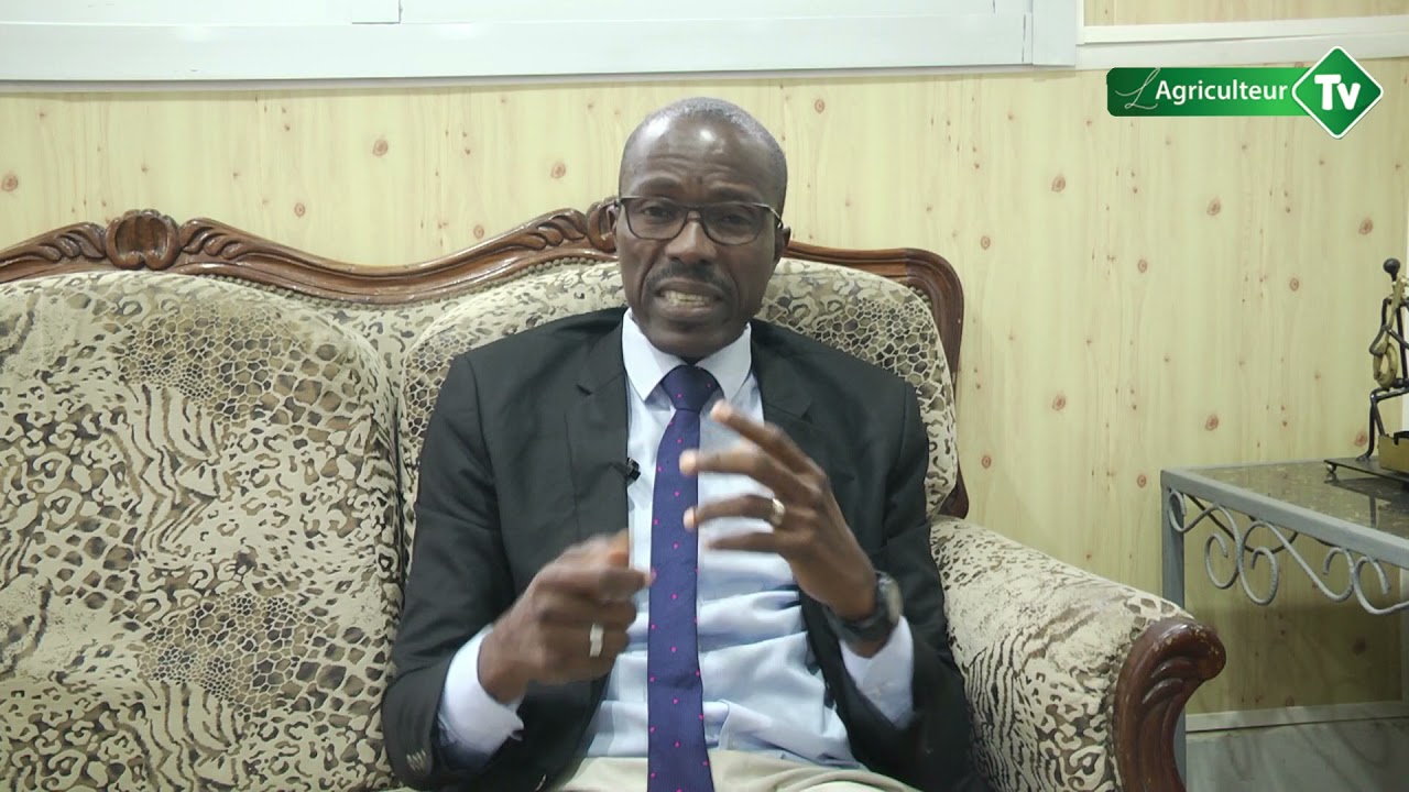 PRESENTATION DE LA COOPERATIVE DEFI CAFE CACAO INTERVIEW avec N