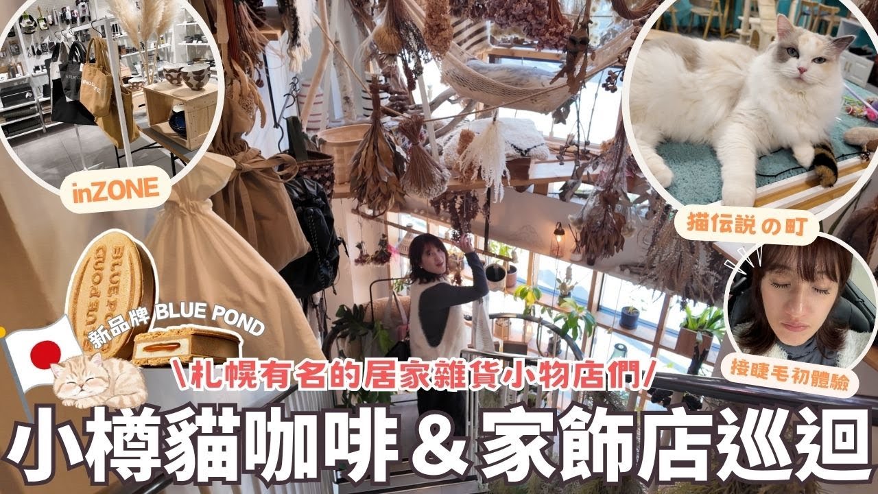 日本生活⎮札幌&小樽vlog⎮小樽人氣貓咪咖啡、北海道限定『「BLUE POND」』、接睫毛-台幣300元、札幌家居雜貨店總整理❤️⎮Eve 伊芙,留日生活中
