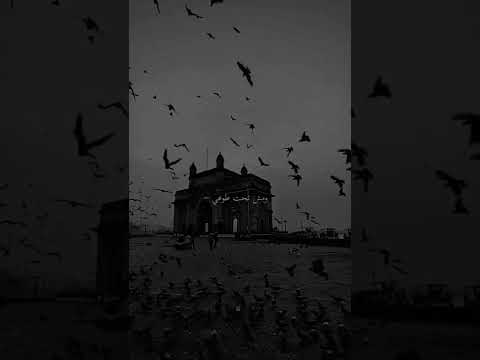 ومش تحت طوعي فأرقتني روحي ستوريات انستغرام