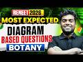 RE-NEET 2026 Botany 🌿🔥Most Expected Diagram Based Questions You Should Not Miss!