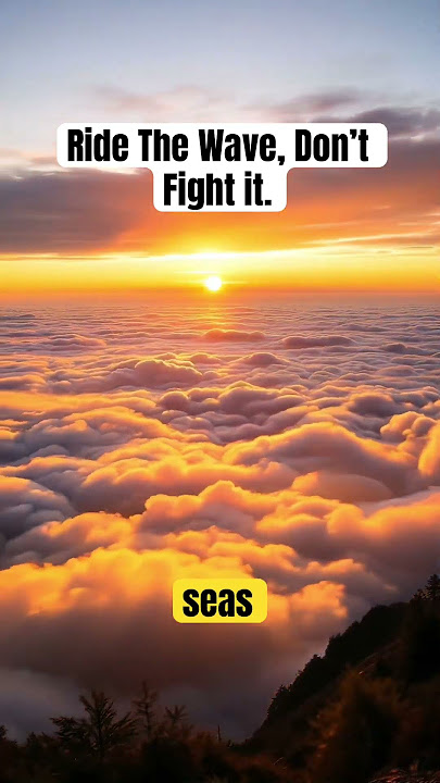 Ride the Wave, Don’t Fight It.