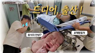 4번 유산 끝에 드디어 엄마가 되었어요!❤️ 출산 VLOG, 먹짱아기 호식이의 탄생🐣 | 서울성모병원 제왕절개