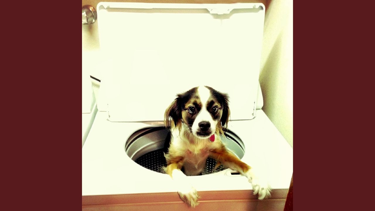 Fall Into Fabulous (Twice as Bright Bonus Track)